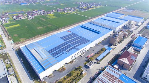 泰州姜堰 以“不老松”全生命周期產(chǎn)品創(chuàng)新理念，助力山東軟件產(chǎn)業(yè)大樹成林